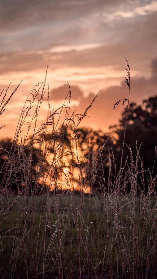 Pampas Del Sur Hotel Y Spa De Campo Cañuelas Dış mekan fotoğraf