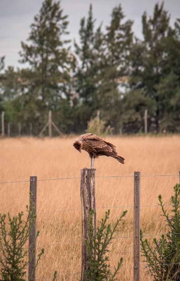 Pampas Del Sur Hotel Y Spa De Campo Cañuelas Dış mekan fotoğraf